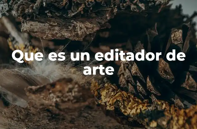 Que es un Editador de Arte