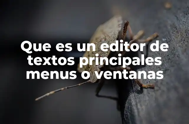 Que es un Editor de Textos Principales Menus o Ventanas
