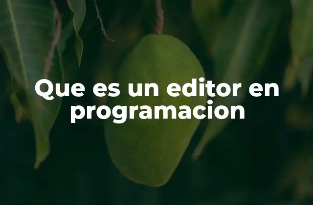 Que es un Editor en Programacion