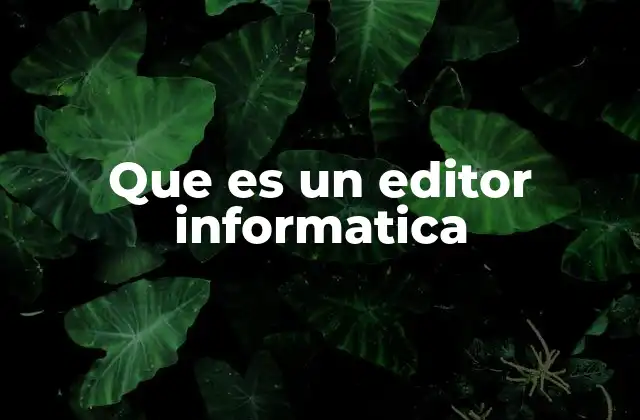 Que es un Editor Informatica