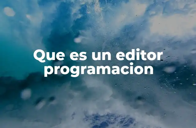 Que es un Editor Programacion