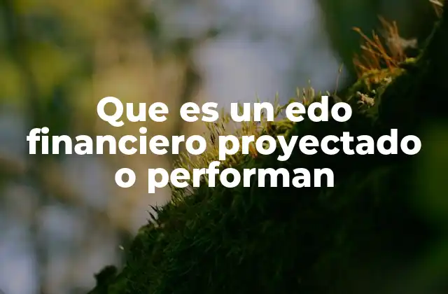 Que es un Edo Financiero Proyectado o Performan 2 El papel de los estados financieros proyectados en la toma de decisiones empresariales
