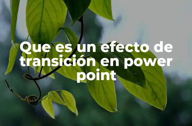 Que es un Efecto de Transición en Power Point