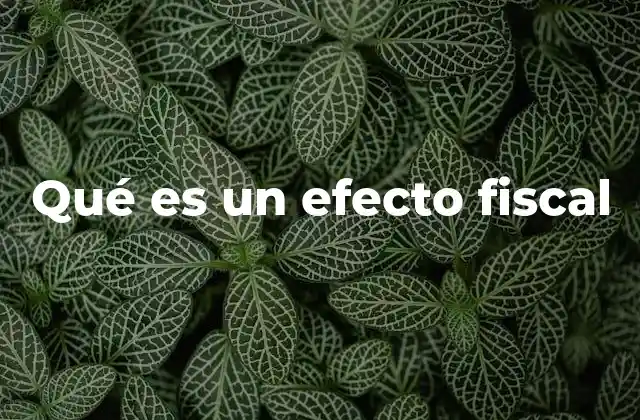 Qué es un Efecto Fiscal