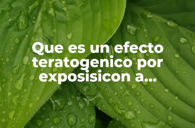 Que es un Efecto Teratogenico por Exposisicon a Quimioterapia