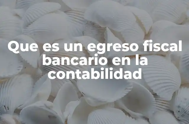 Que es un Egreso Fiscal Bancario en la Contabilidad