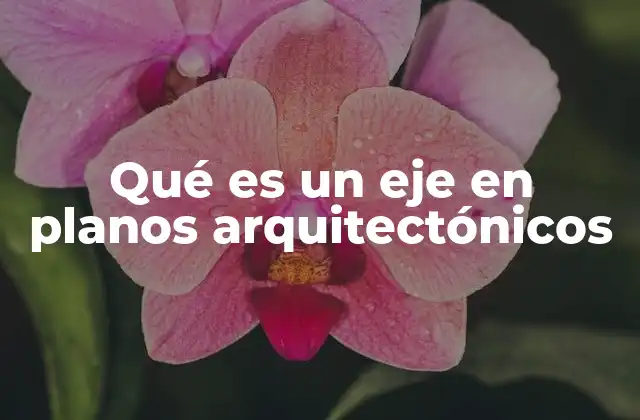 Qué es un Eje en Planos Arquitectónicos