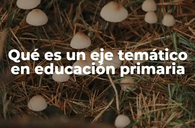 La importancia de los ejes temáticos en la educación infantil