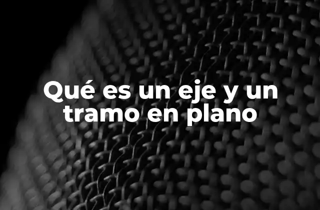 Qué es un Eje y un Tramo en Plano