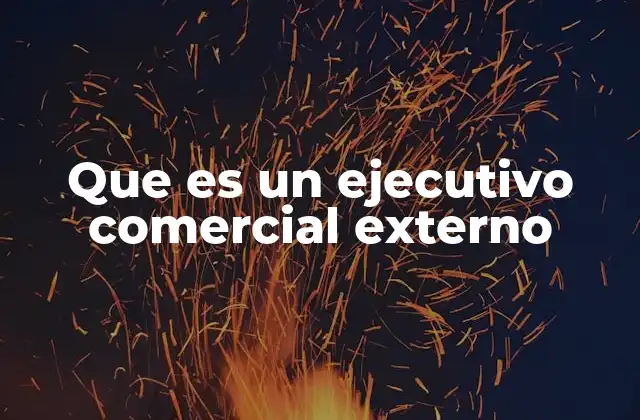 Que es un Ejecutivo Comercial Externo
