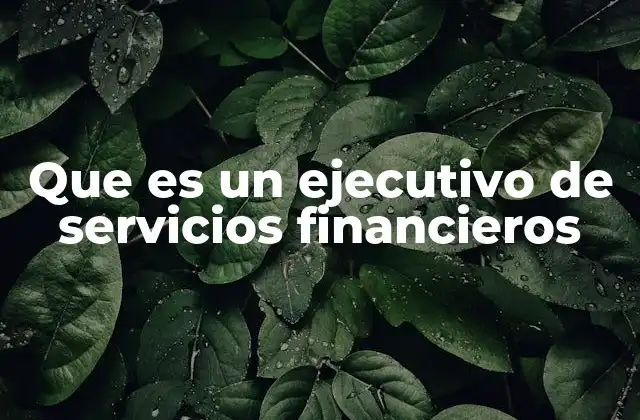 Que es un Ejecutivo de Servicios Financieros