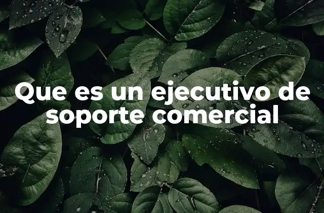 Que es un Ejecutivo de Soporte Comercial