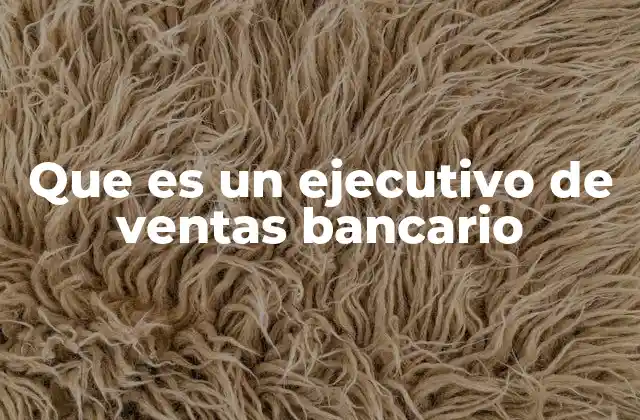 Que es un Ejecutivo de Ventas Bancario