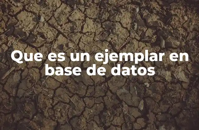 Que es un Ejemplar en Base de Datos