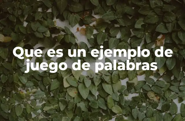 Que es un Ejemplo de Juego de Palabras