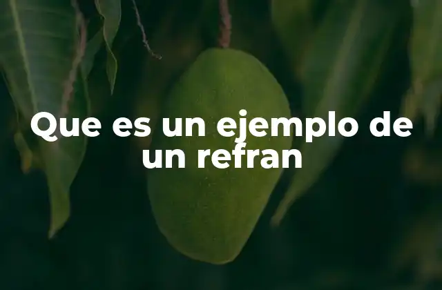 Que es un Ejemplo de un Refran