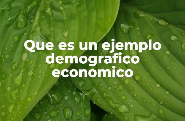 Factores que influyen en un ejemplo demográfico-económico