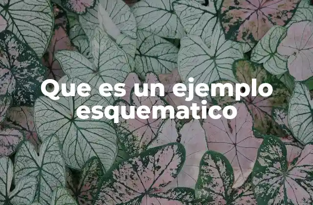 Que es un Ejemplo Esquematico