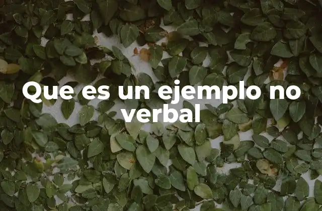 Que es un Ejemplo No Verbal
