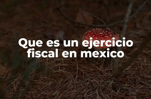 Que es un Ejercicio Fiscal en Mexico