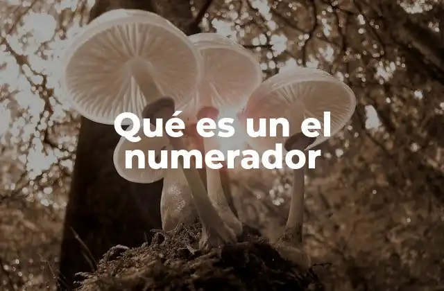 Qué es un el Numerador