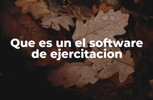 Que es un el Software de Ejercitacion