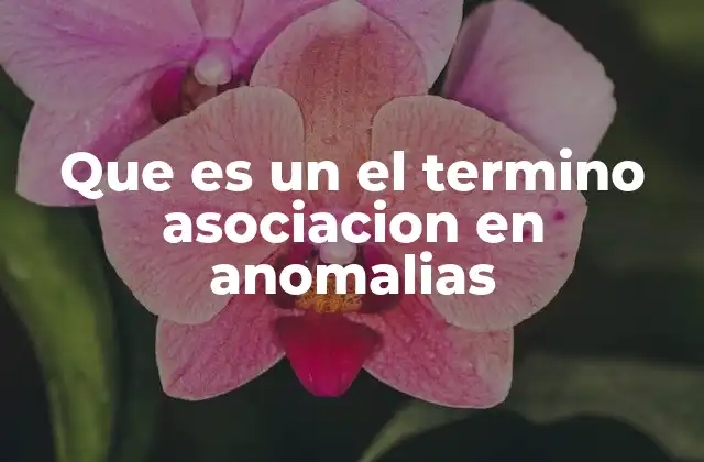 Que es un el Termino Asociacion en Anomalias