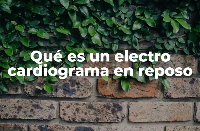 Qué es un Electro Cardiograma en Reposo