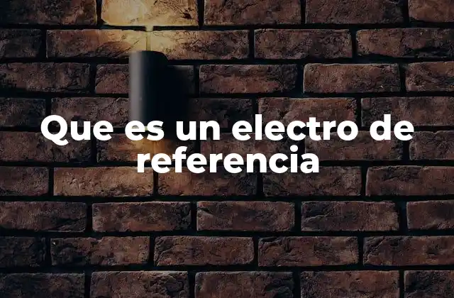 Que es un Electro de Referencia