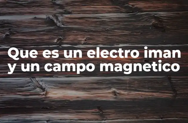 Que es un Electro Iman y un Campo Magnetico