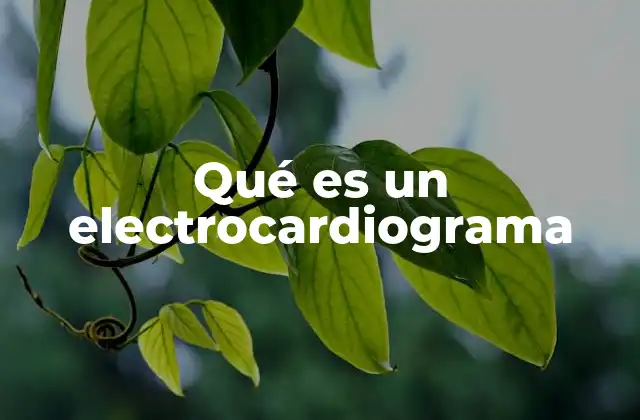 Qué es un Electrocardiograma