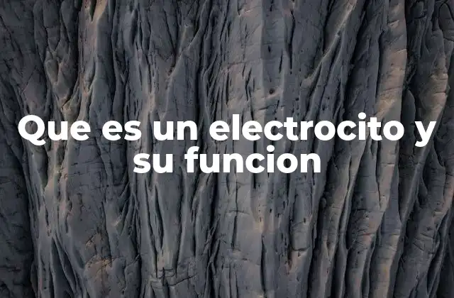 Que es un Electrocito y Su Funcion
