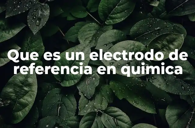 Que es un Electrodo de Referencia en Quimica