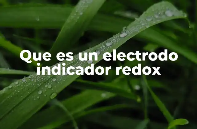 El papel de los electrodos en la electroquímica