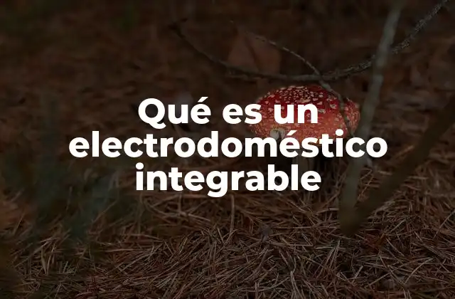 Qué es un Electrodoméstico Integrable