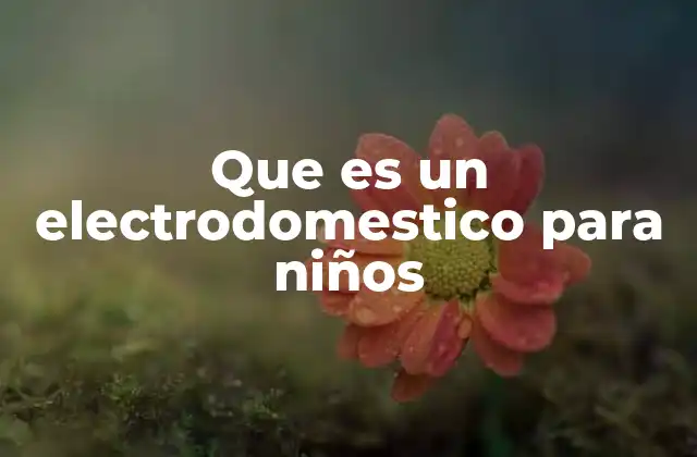 Que es un Electrodomestico para Niños