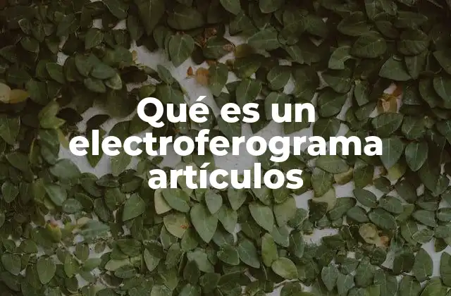 Qué es un Electroferograma Artículos