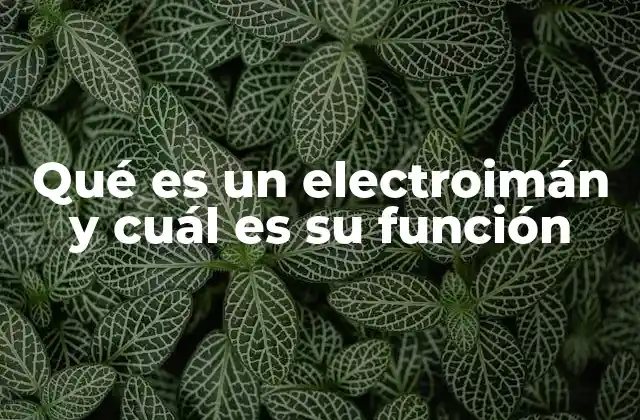 Qué es un Electroimán y Cuál es Su Función