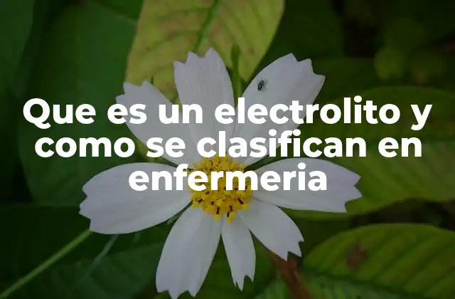Que es un Electrolito y como Se Clasifican en Enfermeria