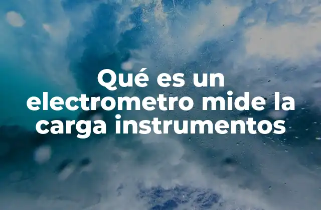 Qué es un Electrometro Mide la Carga Instrumentos