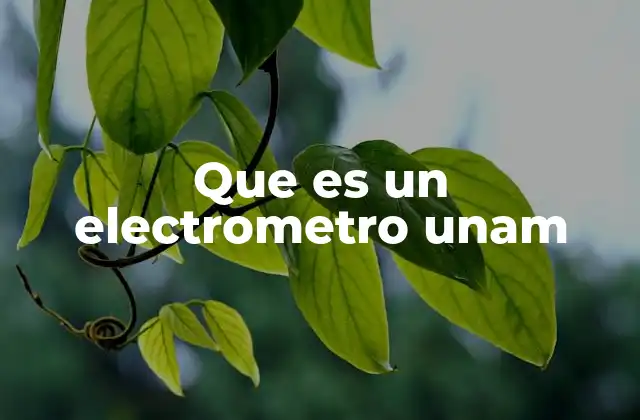 El electrómetro como herramienta de enseñanza en física