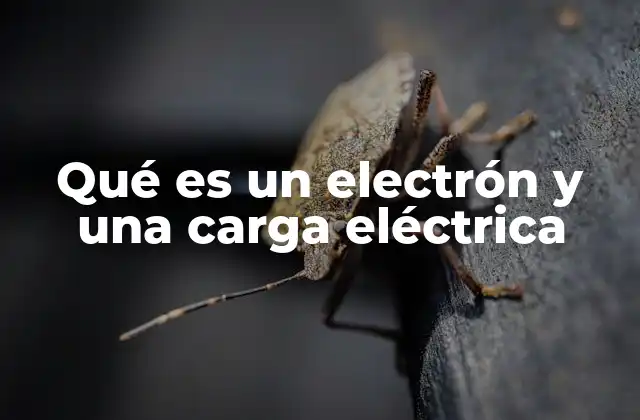 Qué es un Electrón y una Carga Eléctrica