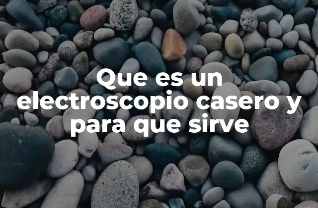 Que es un Electroscopio Casero y para que Sirve