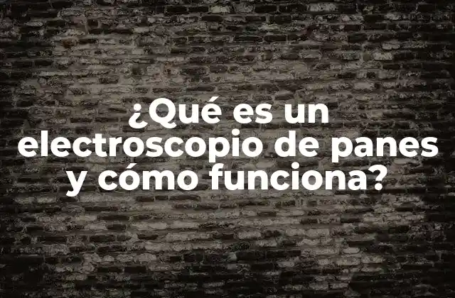 ¿qué es un Electroscopio de Panes y Cómo Funciona? 2 El electroscopio de panes como herramienta didáctica