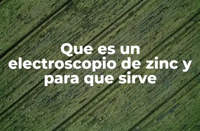 Que es un Electroscopio de Zinc y para que Sirve