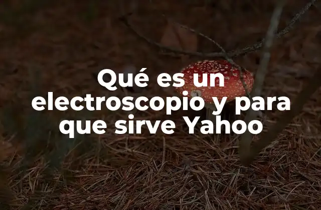 Qué es un Electroscopio y para que Sirve Yahoo