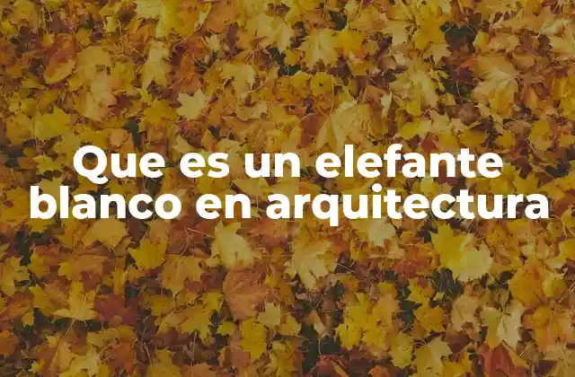 Que es un Elefante Blanco en Arquitectura 2 El impacto de los proyectos arquitectónicos ineficaces en la sociedad