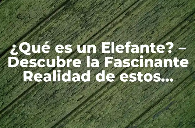 ¿qué es un Elefante? – Descubre la Fascinante Realidad de Estos Animales