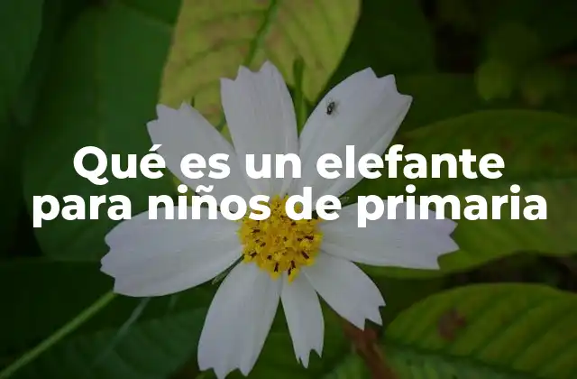 Qué es un Elefante para Niños de Primaria