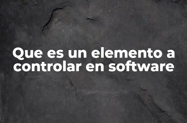 Que es un Elemento a Controlar en Software